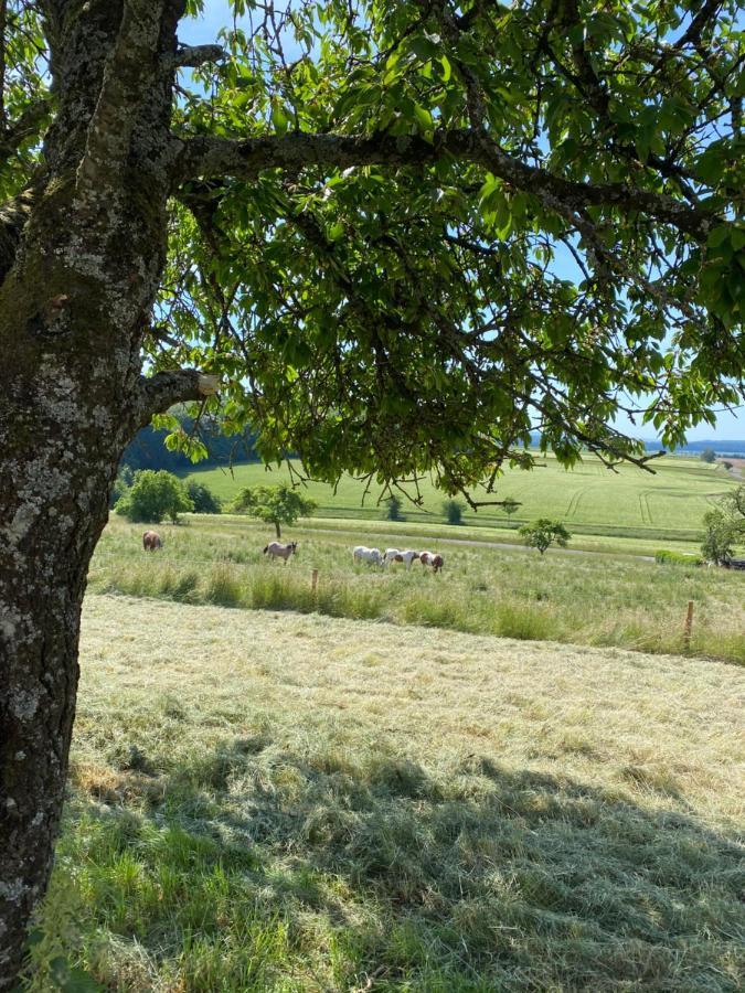 An Der Walnuss Lägenhet Feilsdorf Exteriör bild