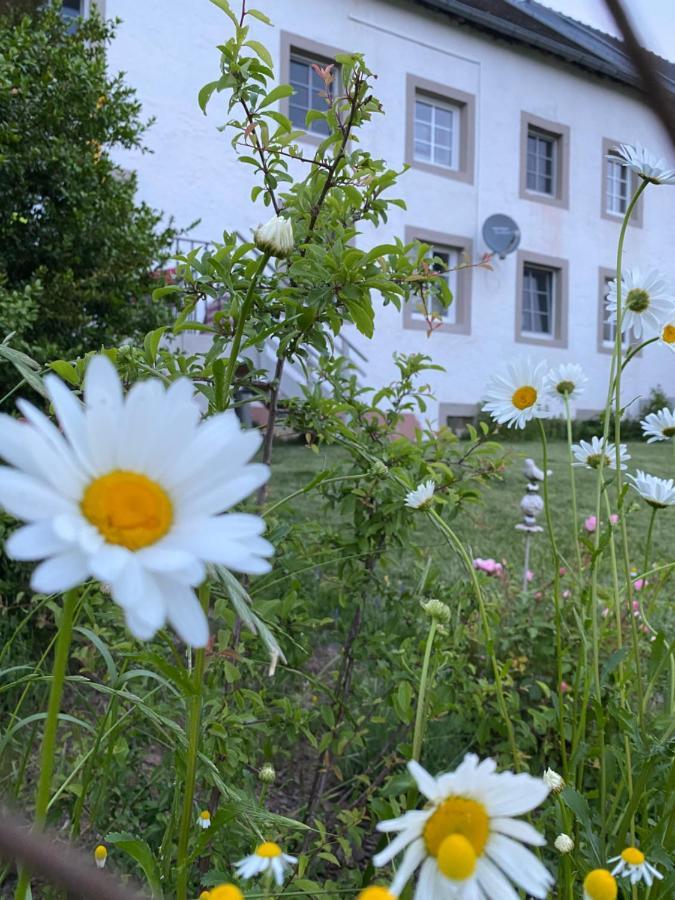 An Der Walnuss Lägenhet Feilsdorf Exteriör bild